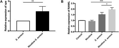 The Synergistic Effect of Nicotine and Staphylococcus aureus on Peri-Implant Infections